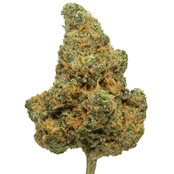 Blue Dream - 7 Gram Jar