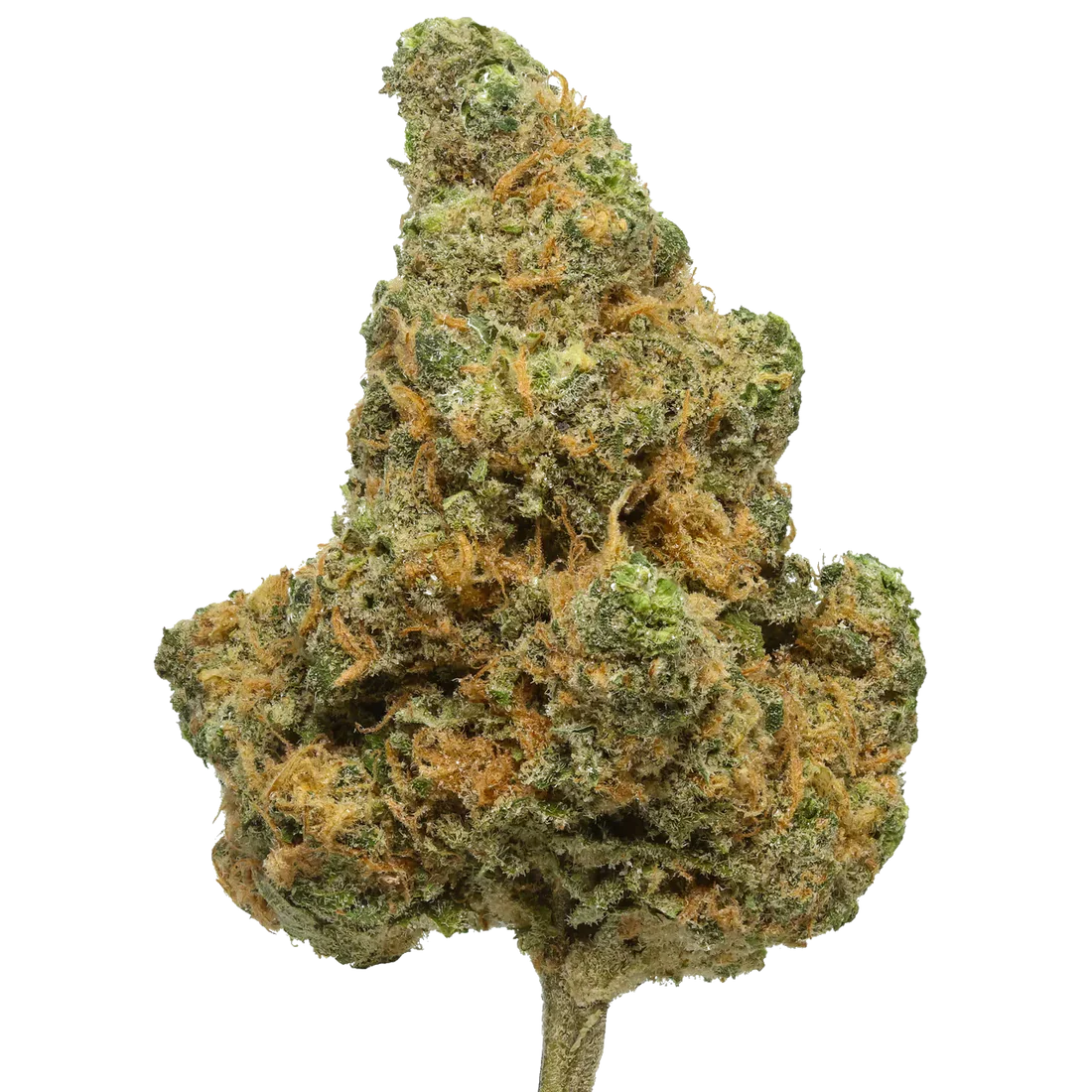 Blue Dream - 7 Gram Jar
