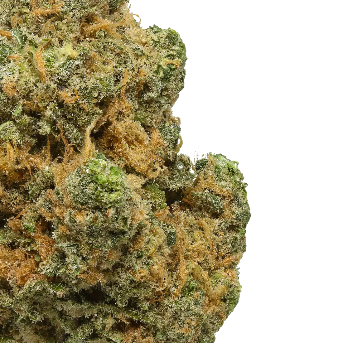 Blue Dream - 7 Gram Jar - Image 2