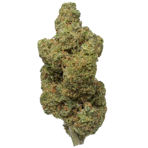 Durban Poison - 7 Gram Jar