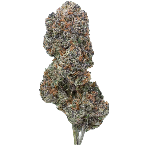 San Fernando Valley - 7 Gram Jar