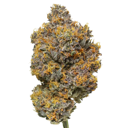 Rainbow Sherbert #11 - 7 Gram Jar