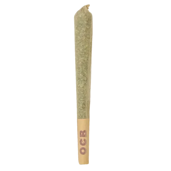 1 Gram Preroll - Blue Lobster